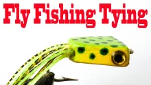 Video thumb for Foam Sheets Frog