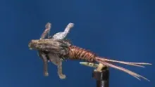 Video thumb for Lively Legz Pheasant Tail