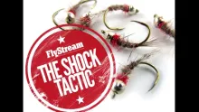 Video thumb for Shock Tactic