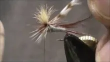Video thumb for Adams Parachute