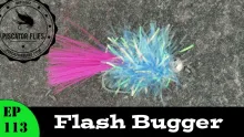 Video thumb for Flash Bugger