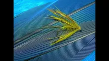 Video thumb for McPhail MayFly (WetFly)