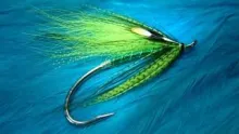 Video thumb for The Green Spey