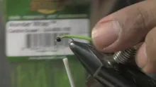 Video thumb for The Wonder Larva