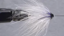 Video thumb for Great Blue Heron