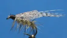 Video thumb for Web Wing Henryville Special