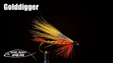 Video thumb for Golddigger