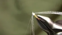 Video thumb for Barr Emerger