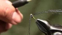 Video thumb for Mercury Baetis