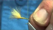 Video thumb for The CDC Yellow May Dun