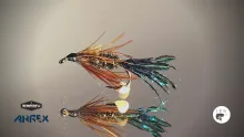 Video thumb for Zug Bug