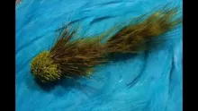 Video thumb for Shenk's Sculpin
