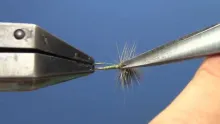 Video thumb for CDC Thorax Dun