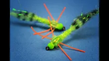 Video thumb for La Bomba - Bluegill bomber