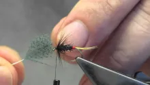 Video thumb for Connemara Black Variant