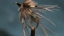 Video thumb for GSS Sparrow