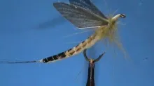 Video thumb for Hemingway's Green Drake