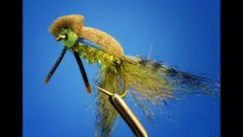 Video thumb for La Ranita: Bluegill Popper