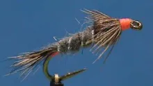 Video thumb for Hot Spot Red Squirrel Nymph