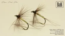 Video thumb for Liška Hackle