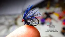 Video thumb for Davie's Toe