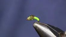 Video thumb for Brassie