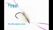 Video thumb for Fyggi