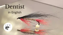 Video thumb for Dentist