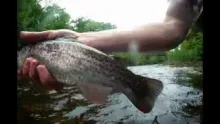 Video thumb for June on the Mascoma