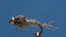 Video thumb for Sparkle Rib Beadhead Hare's Ear