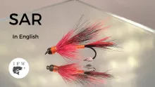 Video thumb for SAR