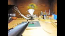 Video thumb for Extended body parachute Callibaetis