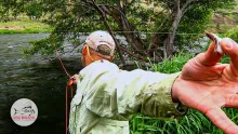 Video thumb for Sky High Salmonfly