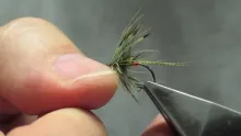 Video thumb for Red Ass Bumble