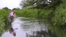 Video thumb for An Evening on the Dries 