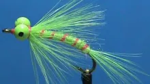 Video thumb for Chartreuse and Pink Comet