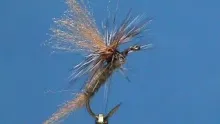 Video thumb for Adams Parachute Shuck