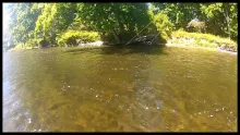Video thumb for The 100 Year Run (Part 2)