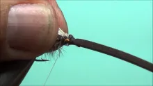 Video thumb for CP's DH Hopper Revised