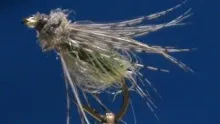 Video thumb for LaFontaine Sparkle Pupa