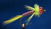 Video thumb for Casts For Autisim Beadhead Nymph
