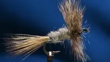 Video thumb for Grizzly Wolf