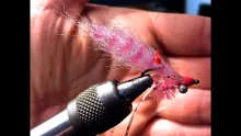 Video thumb for Standing Shrimp