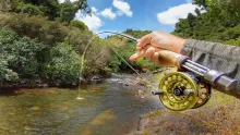 Video thumb for Spotting Large Trout in Private Pristine Stream