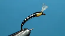 Video thumb for RK's UV Chironomid