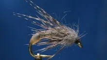 Video thumb for Cat Gut Pupa