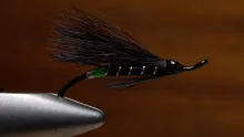 Video thumb for Black Bear Green Butt