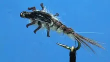 Video thumb for LivelyLegz Generic Nymph
