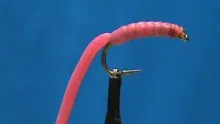 Video thumb for San Juan Worm