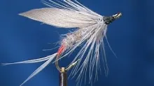 Video thumb for Iron Blue Dun Wet